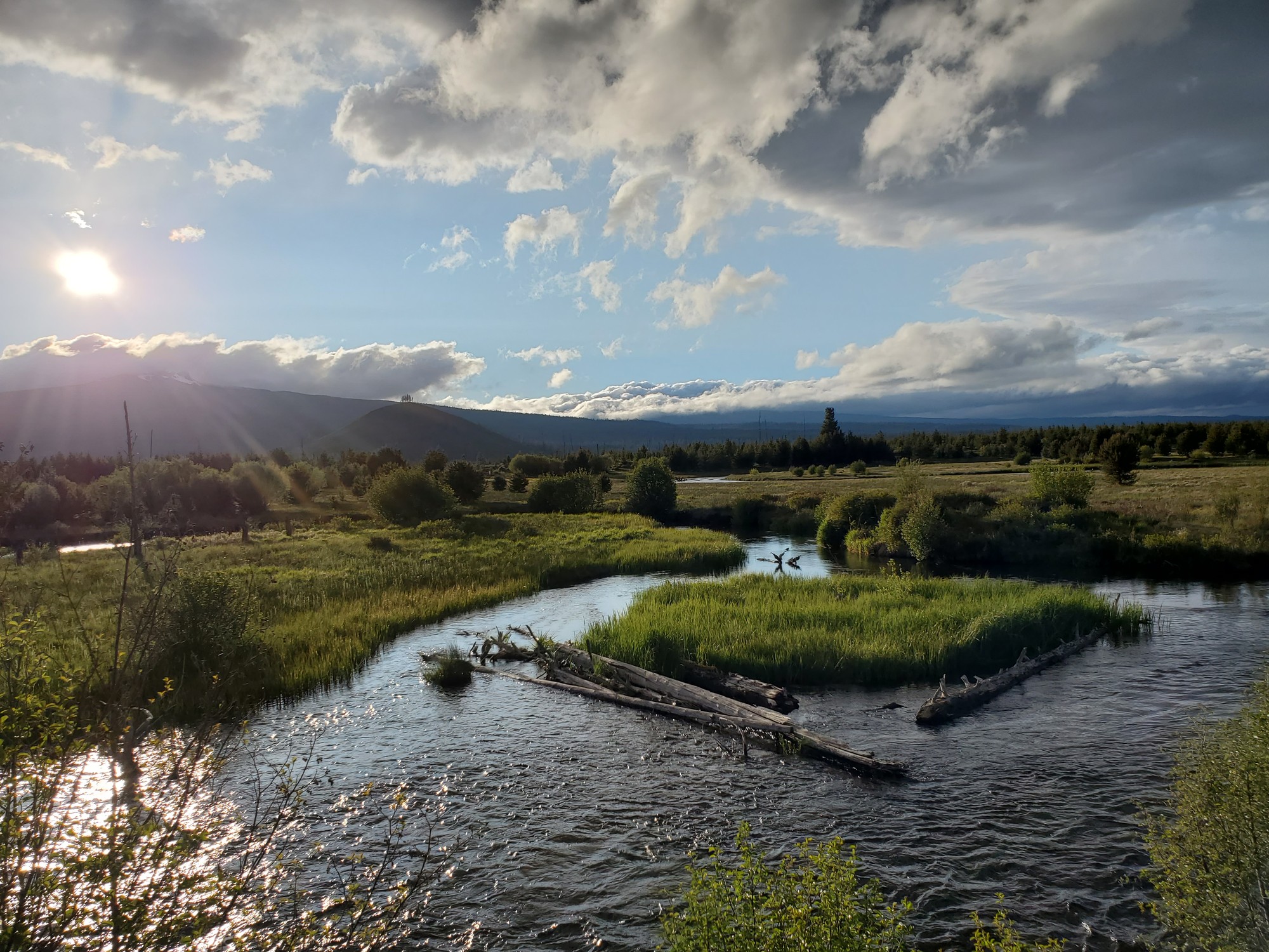 Odell Creek habitat